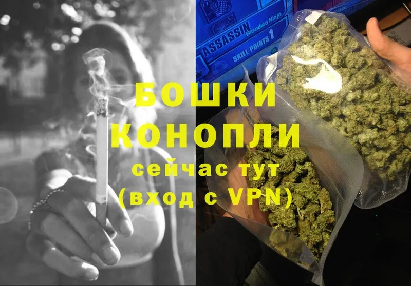 Бошки Шишки OG Kush  купить закладку  Тосно 